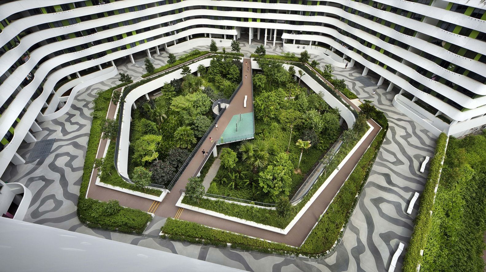 Transforming Urban Landscapes: Welcome to VividHaus - Your Green Solutions Experts!